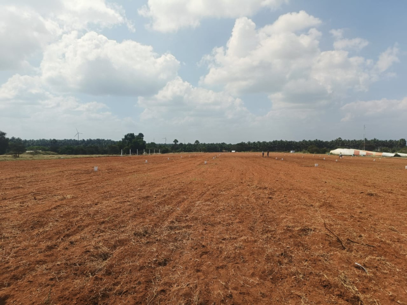  Residential Plot 1 Cent for Sale in Kinathukadavu, Coimbatore