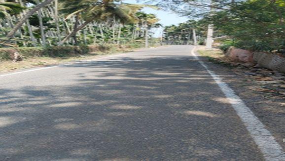  4 Acre Agricultural/Farm Land for Sale in Vedapatti, Coimbatore