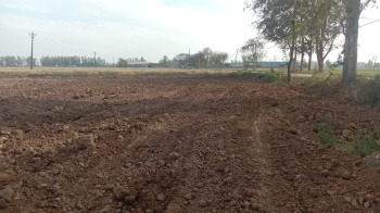  Agricultural Land for Sale in Pipli, Kurukshetra