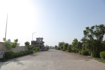  Residential Plot for Sale in Greater Mohali