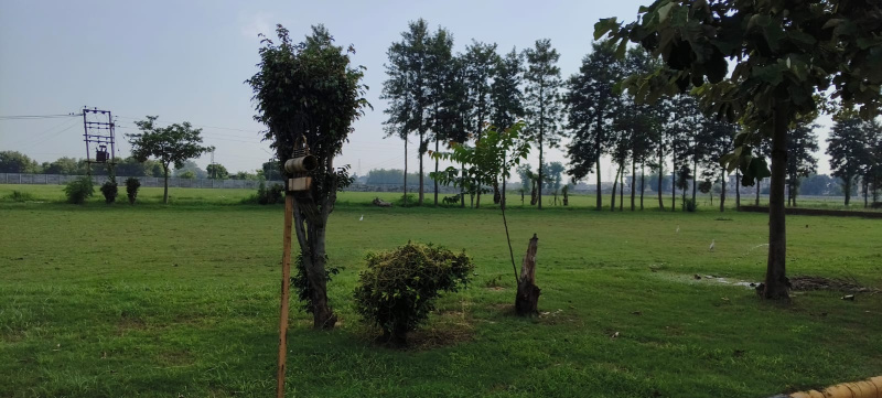  Residential Plot 230 Sq. Yards for Sale in Sahnewal, Ludhiana