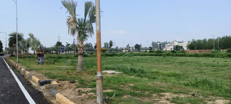  Residential Plot 230 Sq. Yards for Sale in Sahnewal, Ludhiana