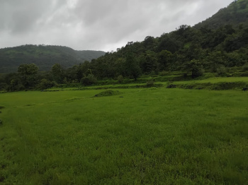  Agricultural Land for Sale in Mangaon, Raigad