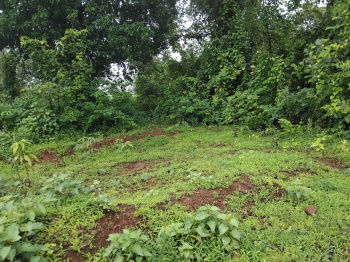  Agricultural Land for Sale in Mahad, Raigad