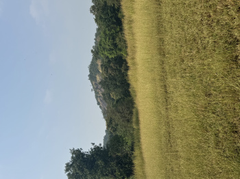  Agricultural Land for Sale in Mahad, Raigad