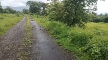  Agricultural Land for Sale in Poladpur, Raigad