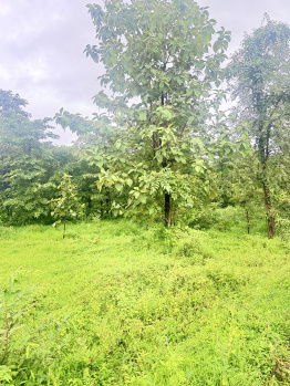  Agricultural Land for Sale in Mahad, Raigad