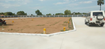  Residential Plot for Sale in Melapachakudi, Tiruchirappalli