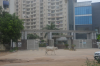 3.5 BHK Flat for Sale in Alwar Bypass Road, Bhiwadi