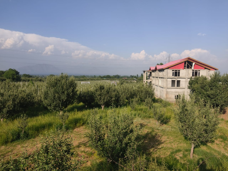  Farm House 11111100 Sq.ft. for Sale in Zainapora, Shopian