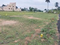  Residential Plot for Sale in Polur, Tiruvannamalai