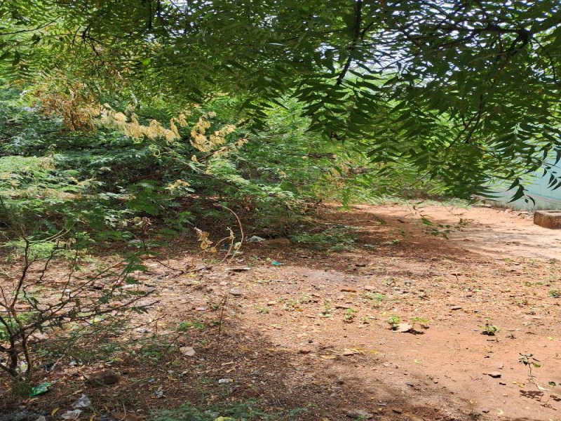  Agricultural Land 870 Sq.ft. for Sale in Ambasamudram, Tirunelveli