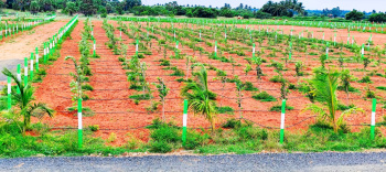  Agricultural Land for Sale in Sholinganallur, Chennai