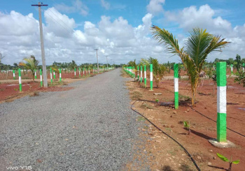  Agricultural Land for Sale in Anupuram, Chengalpattu