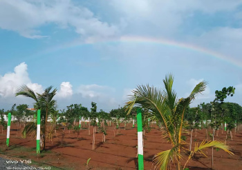  Agricultural Land for Sale in Marakkanam, Villupuram