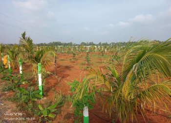  Agricultural Land for Sale in Madhurandagam, Chennai