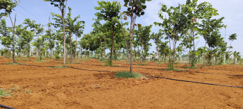  Agricultural Land for Sale in East Coast Road, Chennai