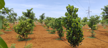  Agricultural Land for Sale in Ecr To Marakanam Road, Chennai