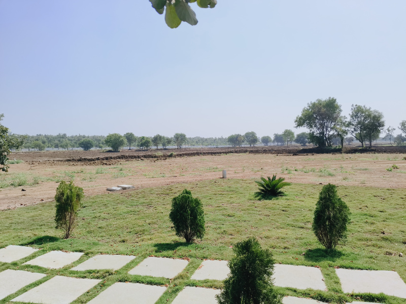 2 BHK Farm House 800 Sq. Yards for Sale in Shankarpally, Rangareddy