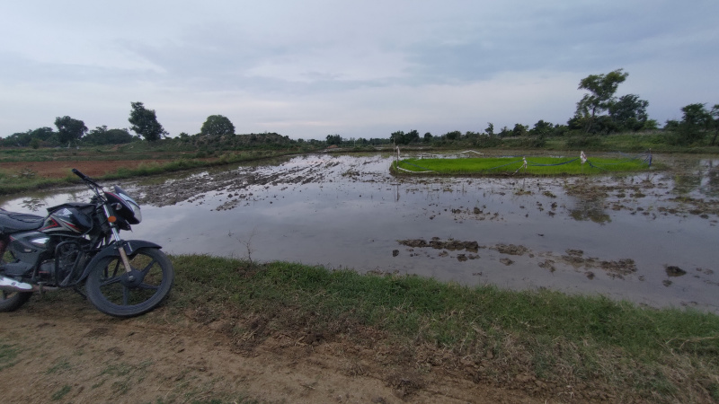  Agricultural Land 1 Acre for Sale in Shankarampet, Medak