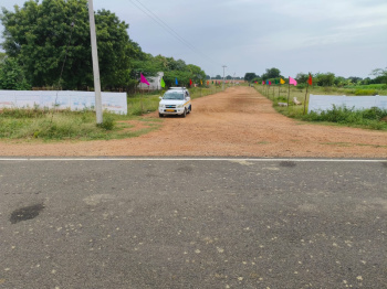  Residential Plot for Sale in Aarchampatti, Tiruchirappalli