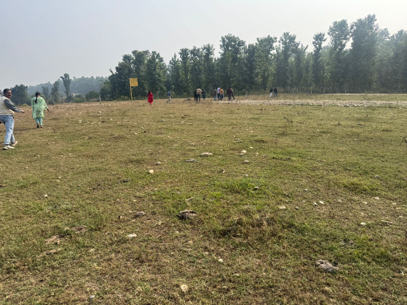  Residential Plot 100 Sq. Yards for Sale in Van Vihar, Dehradun