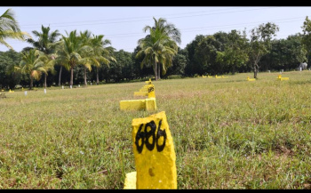  Residential Plot for Sale in Vengal, Chennai