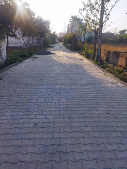 2.0 BHK Builder Floors for Rent in Machhiwara, Ludhiana