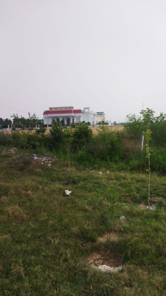  Agricultural Land 5 Acre for Sale in Banga, Shahid Bhagat Singh Nagar