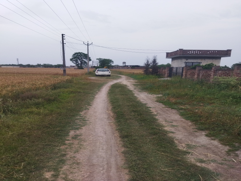  Agricultural Land 260 Marla for Sale in Nurpur Bedi, Ropar, Rupnagar