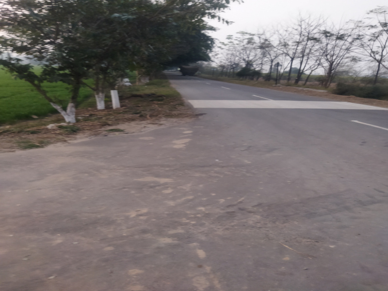  2 Acre Agricultural/Farm Land for Sale in Rahon, Nawanshahr