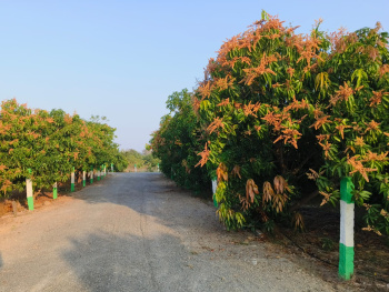  Agricultural Land for Sale in Melmaruvathur, Chennai