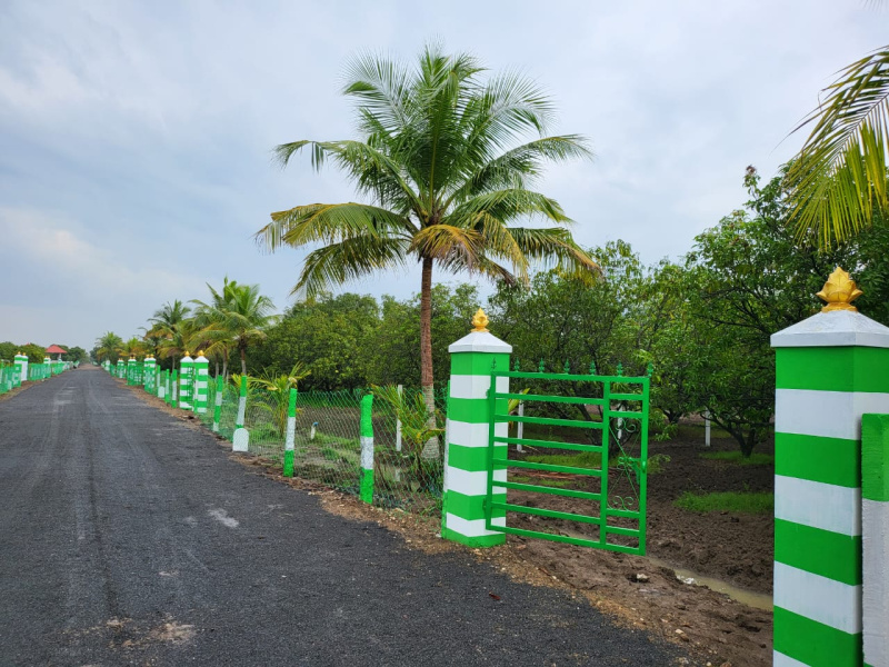  Agricultural Land 10000 Sq.ft. for Sale in Acharapakkam, Chengalpattu