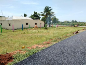  Residential Plot for Sale in Adavathur East, Tiruchirappalli