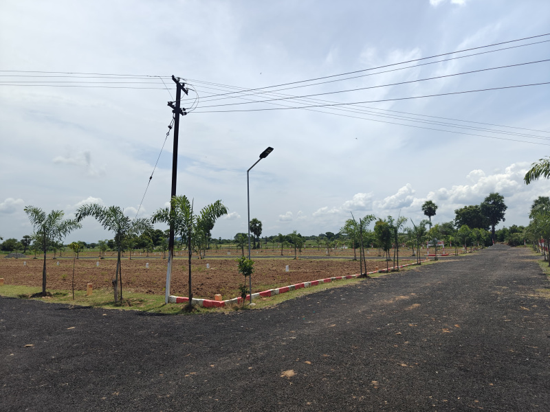  Residential Plot 600 Sq.ft. for Sale in Acharapakkam, Kanchipuram