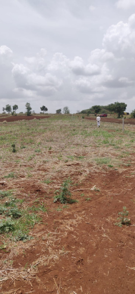  Agricultural Land 12000 Sq. Yards for Sale in Pudur, Rangareddy