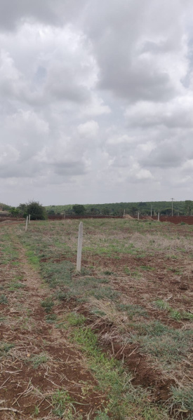  Agricultural Land 12000 Sq. Yards for Sale in Pudur, Rangareddy