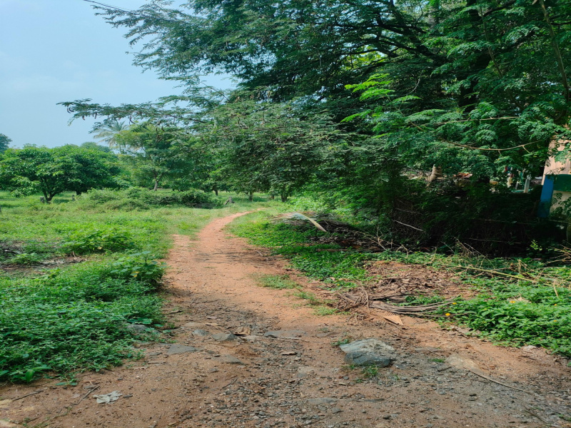  Residential Plot 1 Acre for Sale in Thenkurissi, Palakkad