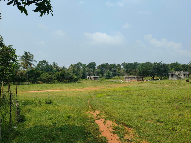  Residential Plot 1 Acre for Sale in Thenkurissi, Palakkad