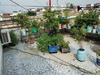 3 BHK Flat for Rent in Mehboob Khan Tola, Purnia