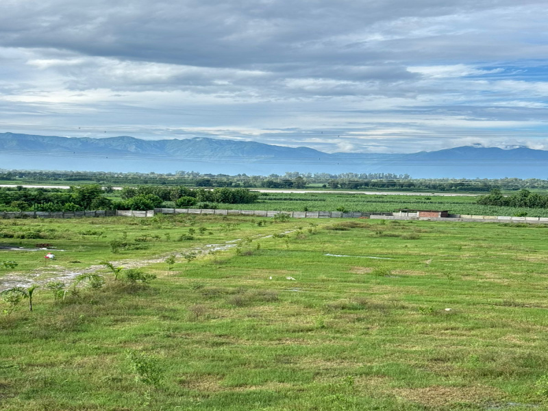  1350 Sq.ft. Residential Plot for Sale in Badripur, Dehradun