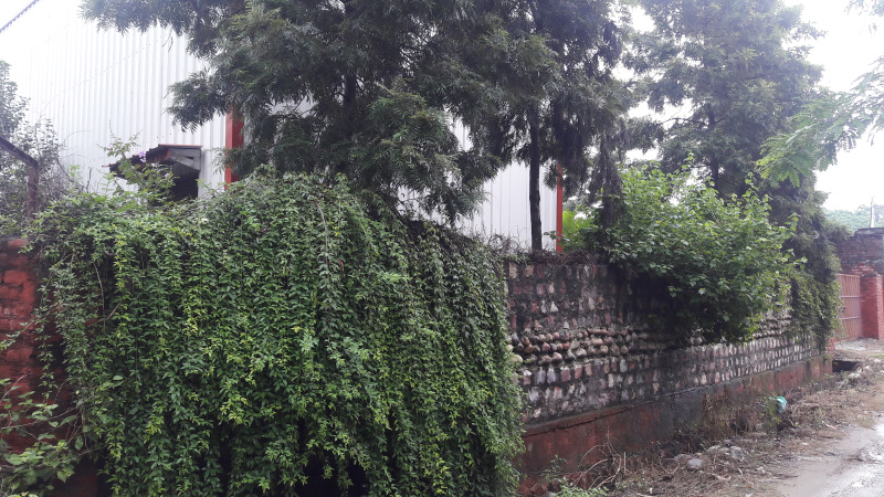  Warehouse 400 Sq. Meter for Sale in Nadaun, Hamirpur