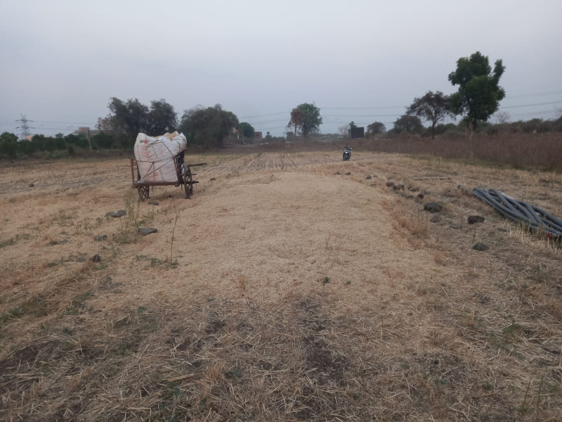  3 Acre Agricultural/Farm Land for Sale in Fetri, Nagpur