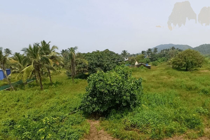  Residential Plot 5000 Sq. Meter for Sale in Bogmalo, Goa