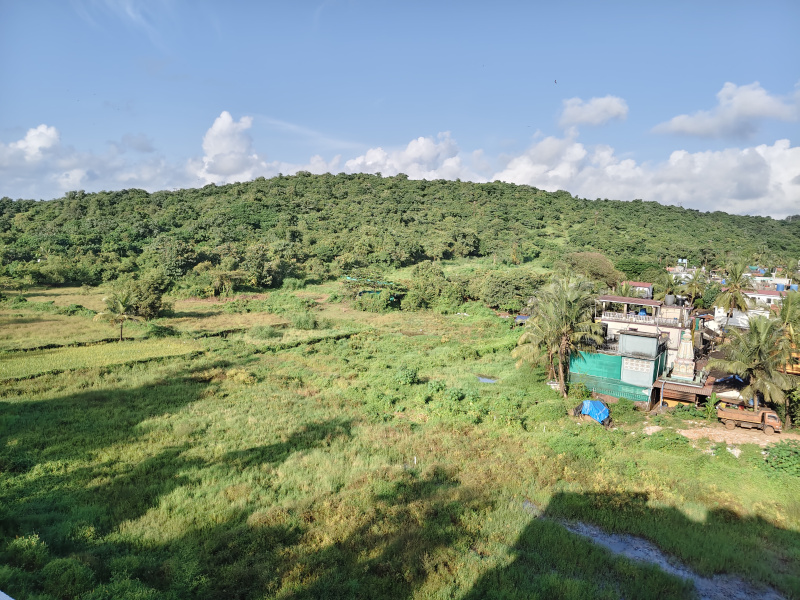 2 BHK 904 Sq.ft. Apartment for Sale in Candolim, Goa