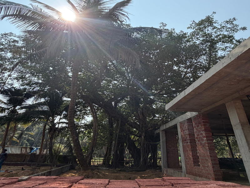 4 BHK 515 Sq. Meter House for Sale in Benaulim, Goa