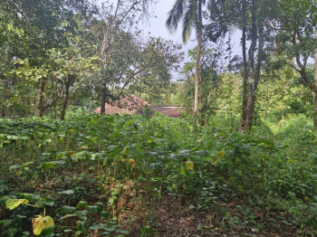  Residential Plot for Sale in Canacona, Goa