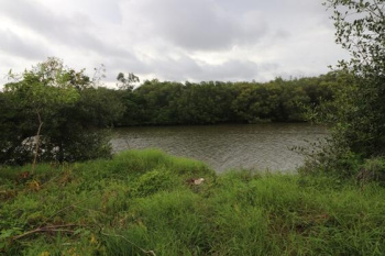  Residential Plot for Sale in Bambolim, North Goa, 