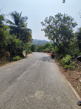  Residential Plot for Sale in Agonda, South Goa