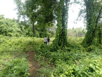  Residential Plot for Sale in Quepem, South Goa, 